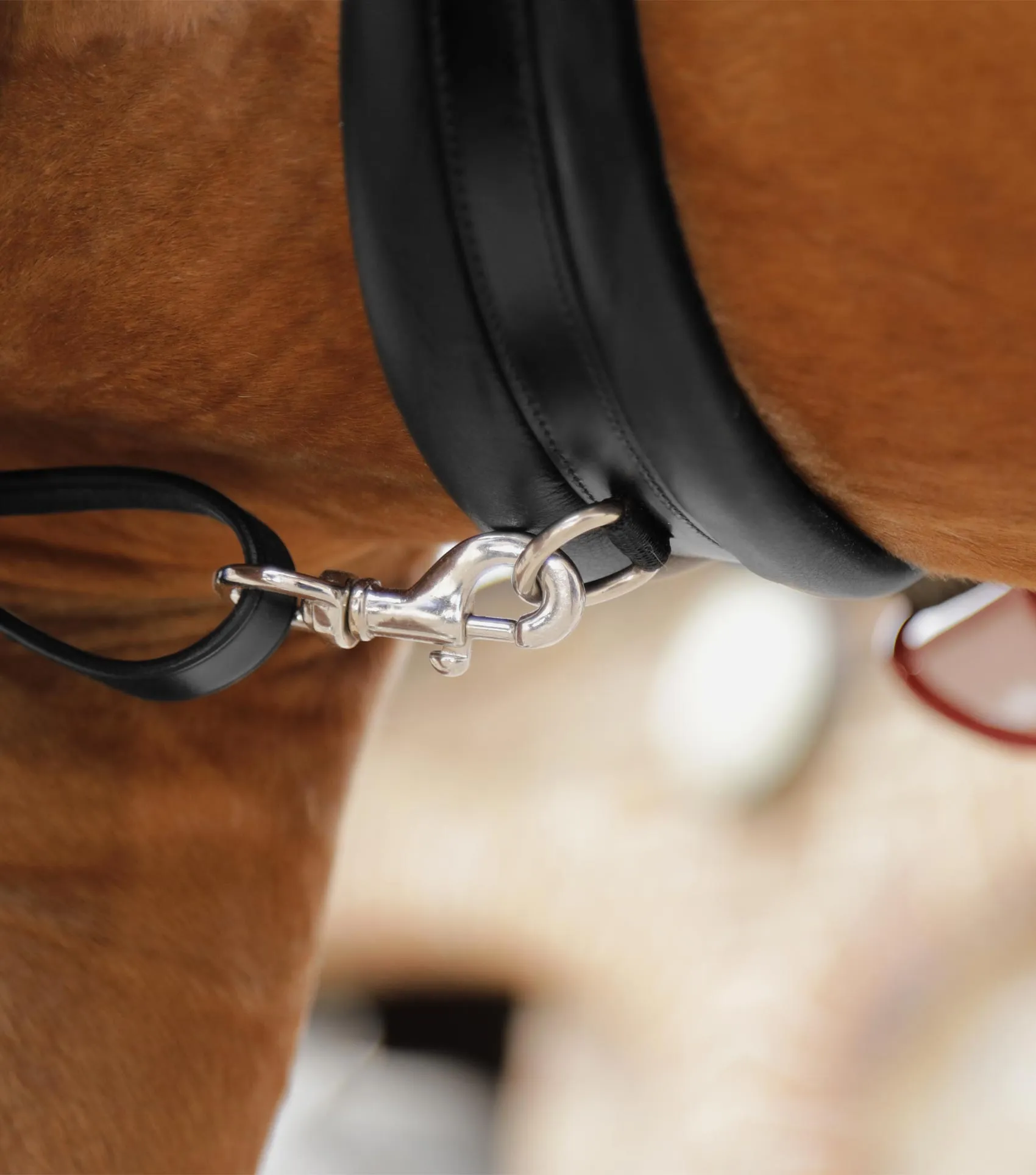 Valbrona Performance Breastplate Black